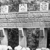 tann-pluszno4.jpg