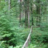 img_0053.jpg