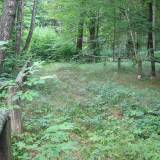 img_0056.jpg