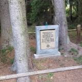 20170610_151642.jpg