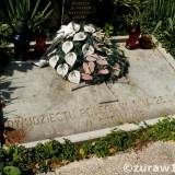 stonawa20.zur003.jpg