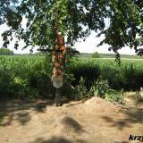 kozniewo.wlk_20.km002.jpg