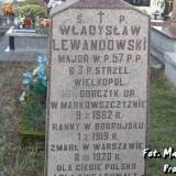 niewodnica.lew2.jpg