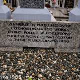 goleszow20.j.zur02.jpg