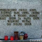 skoczow20.zuraw003k.jpg