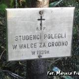 grodno39.fran.mp2.jpg