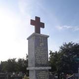 pa211793.jpg