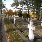 pa220191.jpg
