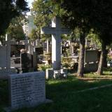 pa043189.jpg