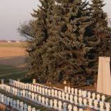 pa233476-1.jpg