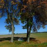 6174_pienice_20111002.jpg