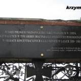 radzanow39.km2.jpg