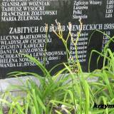 radzanow39.km3.jpg
