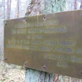 img_6085.jpg