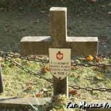 bstok.cfar39.mp2.jpg