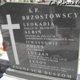Grób rodziny Brzostowskich.