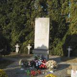 wiazowna45.km2.jpg