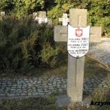 wiazowna45.km3.jpg