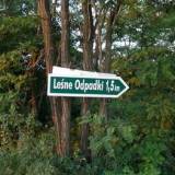 lesne_odpadki.jpg