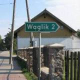 waglik.jpg