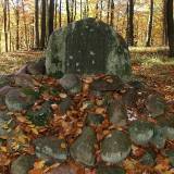 0752_dylewska_20071021.jpg