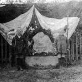 warweiden-1920.jpg